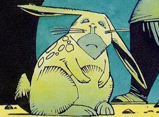 File:Rabbit.jpg