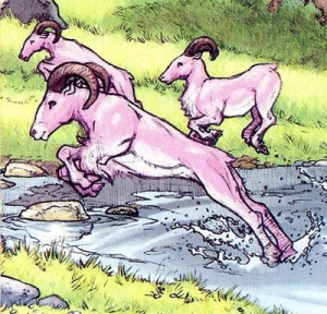 File:Hoaarr.jpg