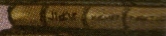 File:Life.jpg