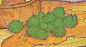 Fuzzynettles.jpg