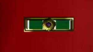 Group Commander Citation.png