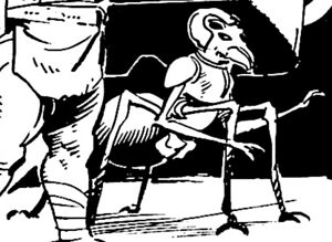 Arachnoid-TSoK.jpg