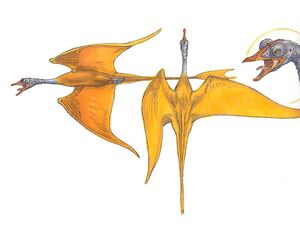 WhisperBird-woswfg.jpg