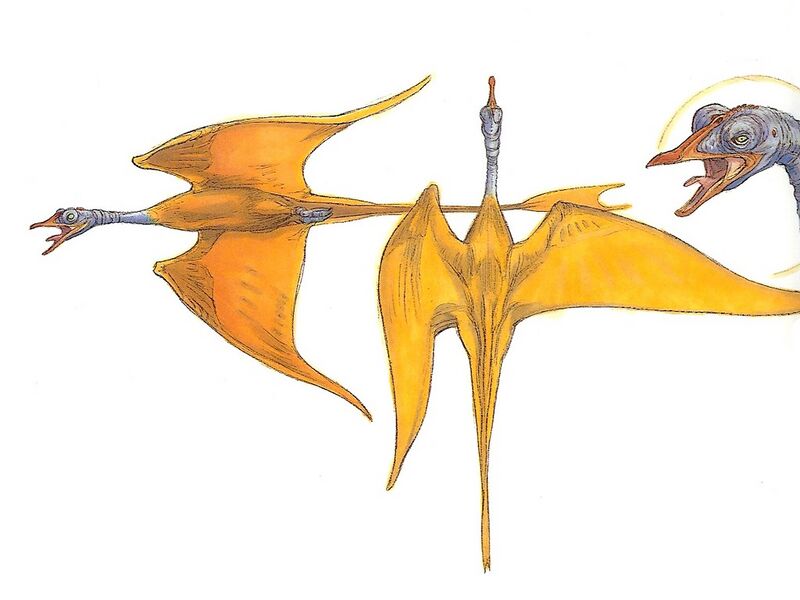 File:WhisperBird-woswfg.jpg