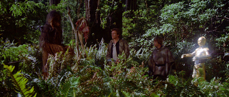 File:Finding the dead animal-ROTJ.png