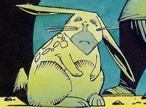 Rabbit.jpg