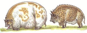 Grazers.jpg