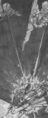 Thumbnail for version as of 08:17, 23 August 2022