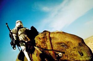 Dewback btm.jpg