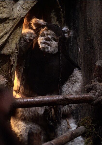 File:Maternal Ewok 1.jpg