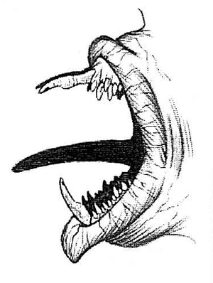 LrashtashTeeth-TTaBS.png