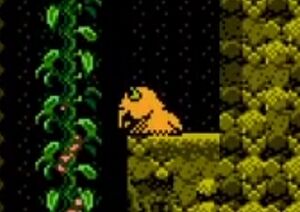 Elephant slug TESBNES.jpg