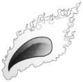 Blazing Claw