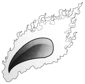 Blazing Claw 1.png