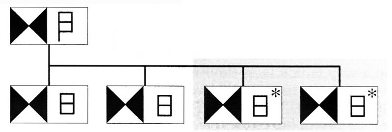 File:Systems Army.jpg