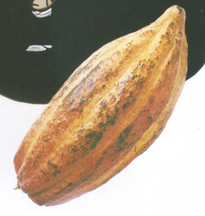 Hubba gourd.png