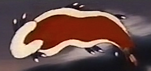 CrystalCloak-TheCrystalCloak.png