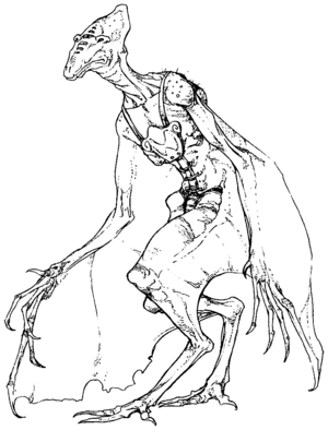 Vor from EGAS.png