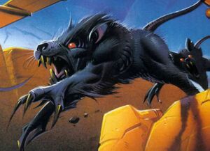 Womp rat btm.jpg