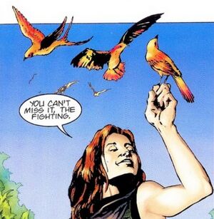Rdava-birds.jpg