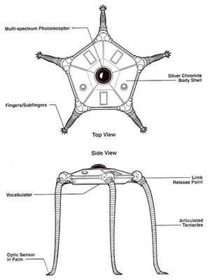 Vuffi Raa Diagram.png