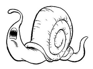 Snailc.jpg