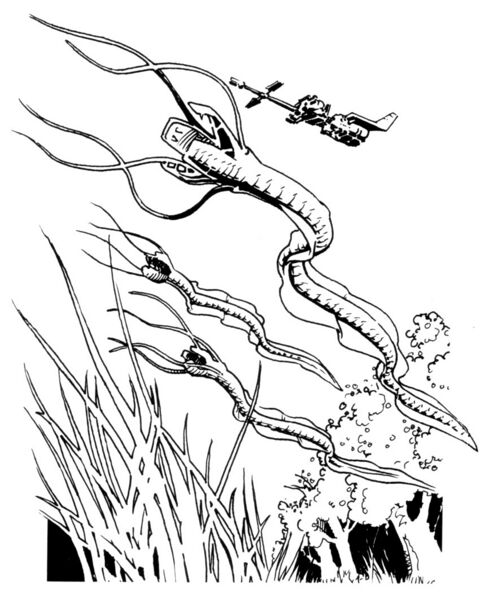 File:Helas.jpg