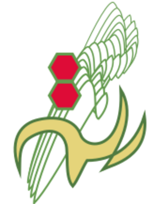 SlaynAndKorpil.svg
