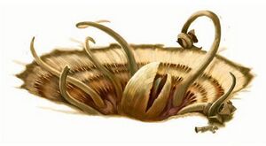 Sarlacc NEGAS.jpg