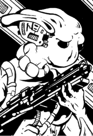 Hass Sonax.png