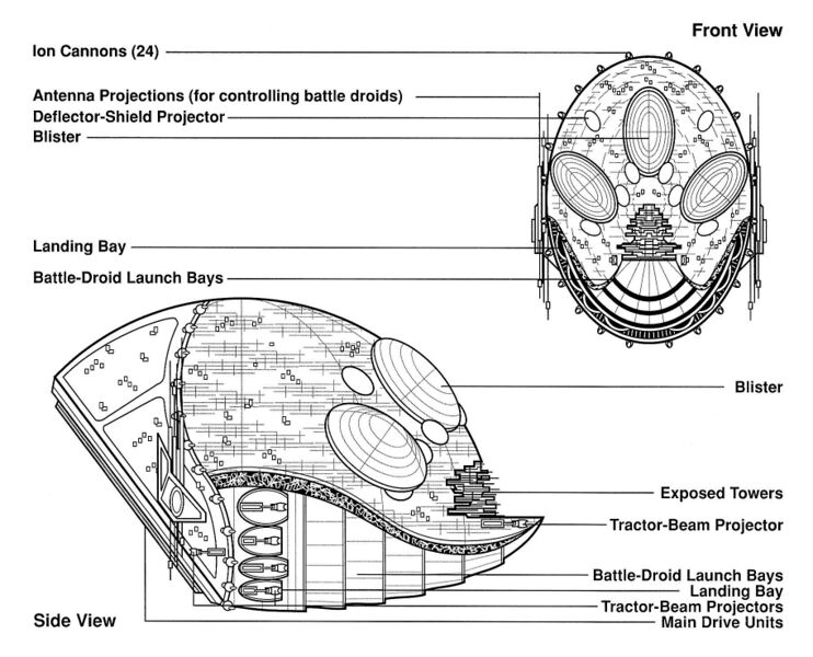 File:Shriwirr egvv.jpg