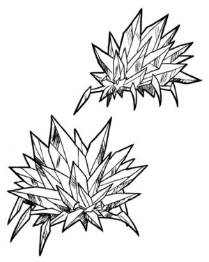 Crystal barnacle.jpg