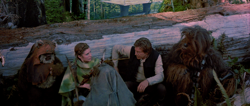 File:Wicket and Rebels.png