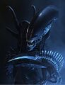 Thumbnail for version as of 16:11, 23 August 2022