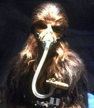 Breath mask.jpg