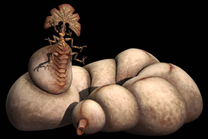 KarinaTheGreat-TCWs2BR1.png