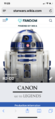 A typical canon page