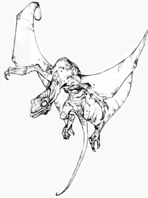 QomJha.png