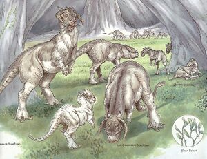 Tauntaun Species.jpg