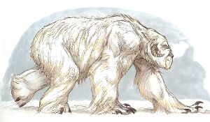 Wampa-woswfg.jpg