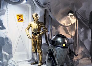 Outside the Wampa pen.jpg
