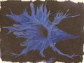 Thumbnail for version as of 00:16, 21 February 2023