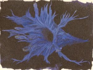 Ghostling Nest of the Assembler.jpg