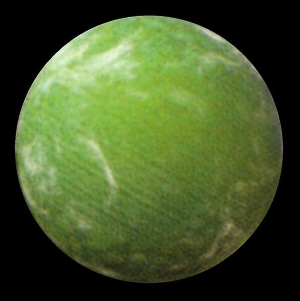 File:Agriworld-2079 NEGAS.jpg