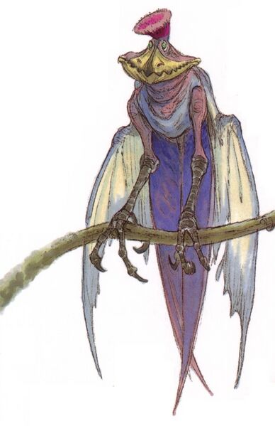 File:Jubba Bird.jpg