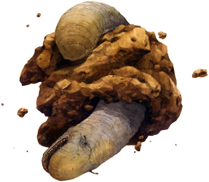 File:SpaceSlug.jpg