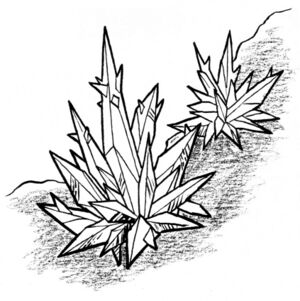 Anothian living crystal.jpg