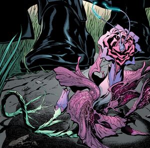 Cophrigin flower.jpg