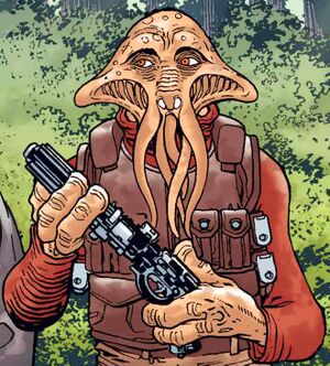 Nrin Vakil.jpg