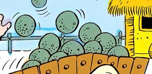 SquashMelons.jpg
